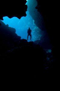 Seal Cave Diving