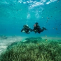 Water Temperature and Visibility in Crete: Scuba Diving Guide