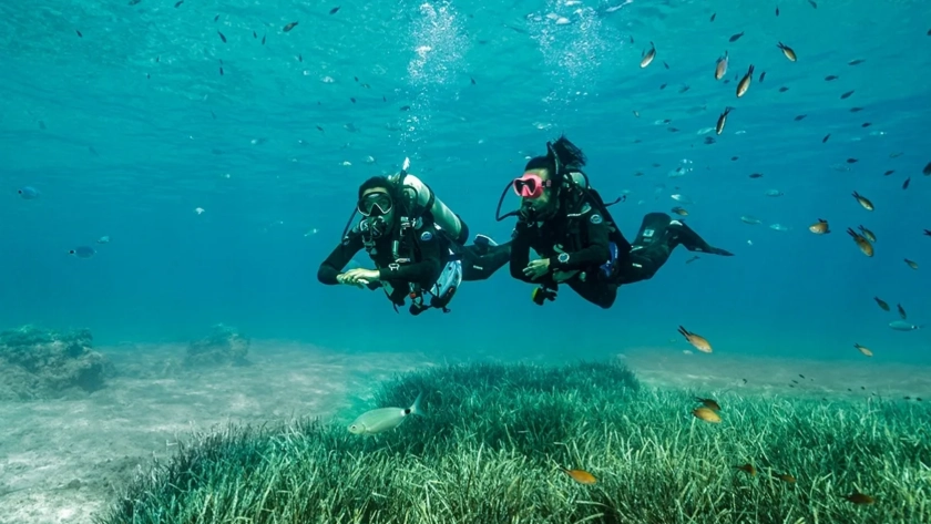 Certified Divers slider 2 Blue Adventures Diving Chania