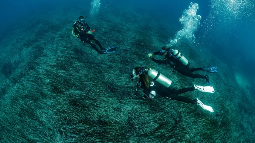 Scuba Diving & Snorkeling in Chania Slider 4 Chania Blue Adventures Diving
